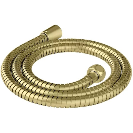 Pfister Shw Anti Twist W/Mtl Hsg Bg 951-335BG